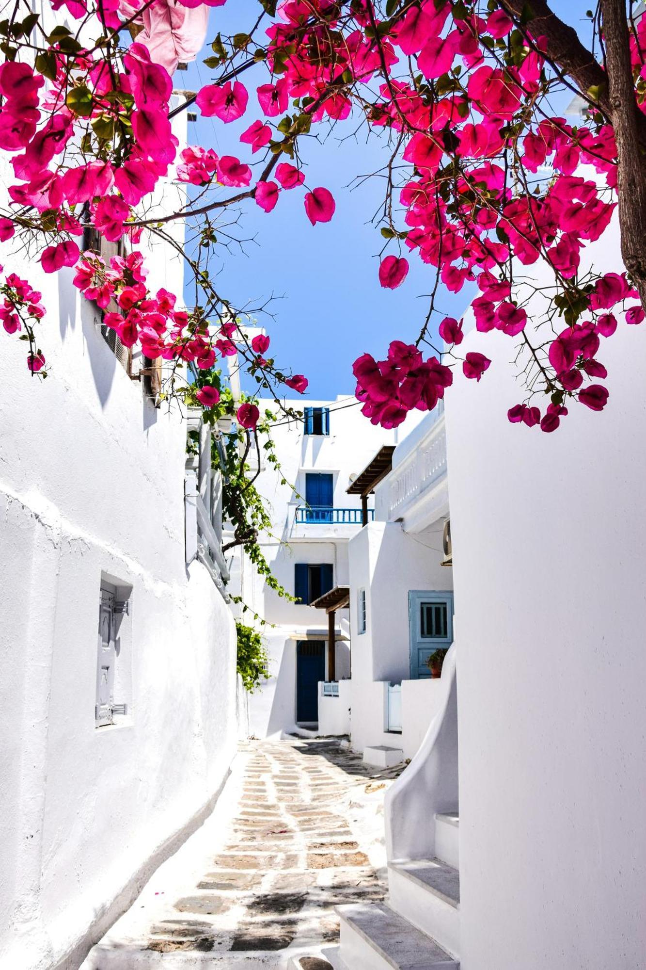 Aniko Suites White Alley Mykonos Town Eksteriør billede